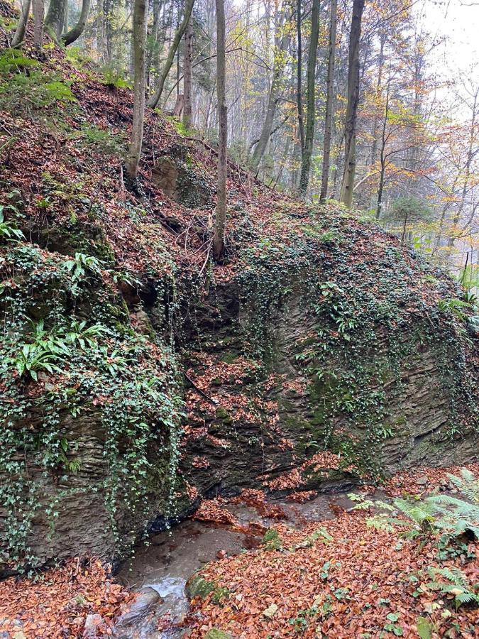 Gaestehaus Schmid Sankt Johann im Saggautal Zewnętrze zdjęcie