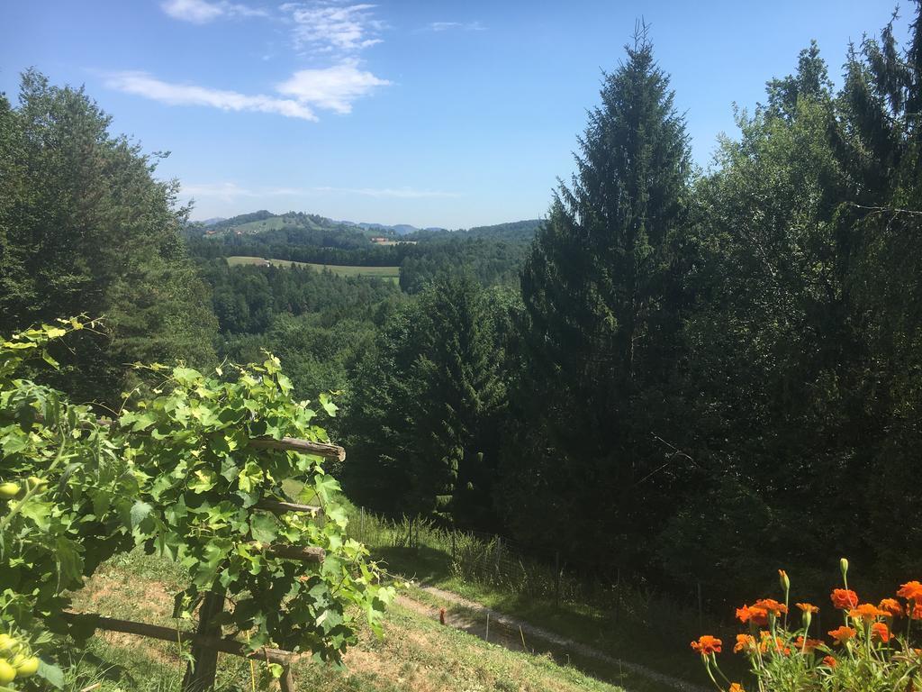 Gaestehaus Schmid Sankt Johann im Saggautal Zewnętrze zdjęcie