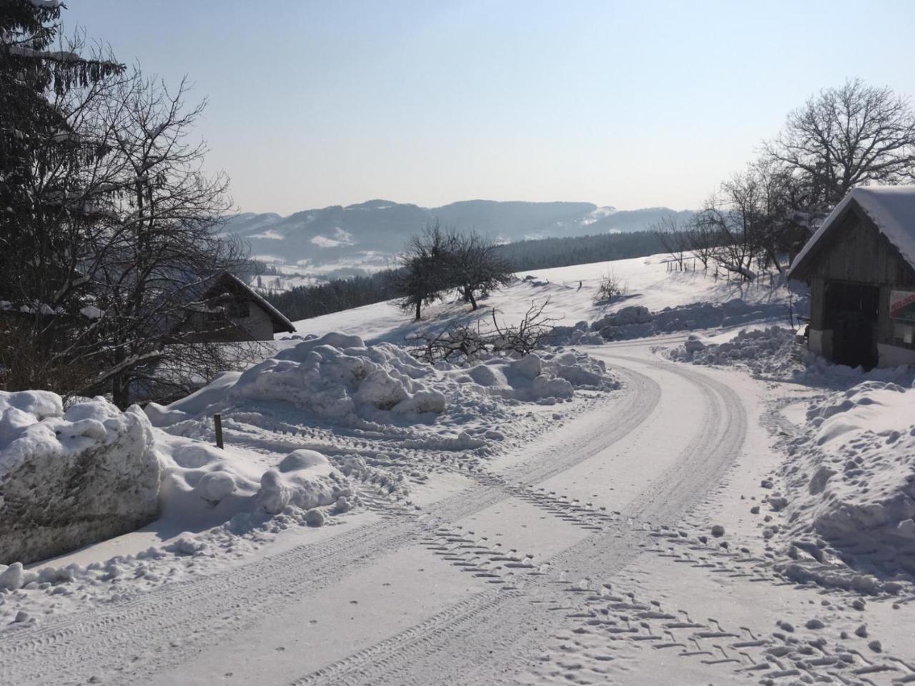 Gaestehaus Schmid Sankt Johann im Saggautal Zewnętrze zdjęcie