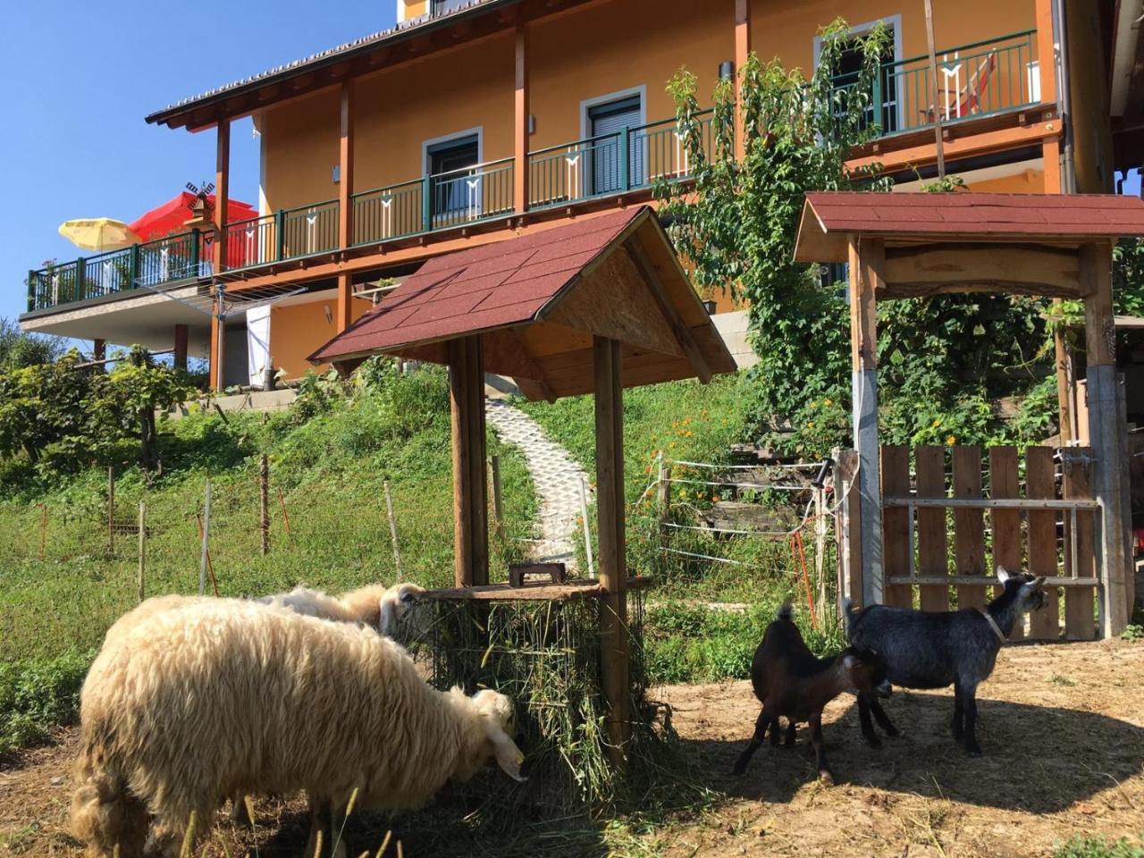 Gaestehaus Schmid Sankt Johann im Saggautal Zewnętrze zdjęcie